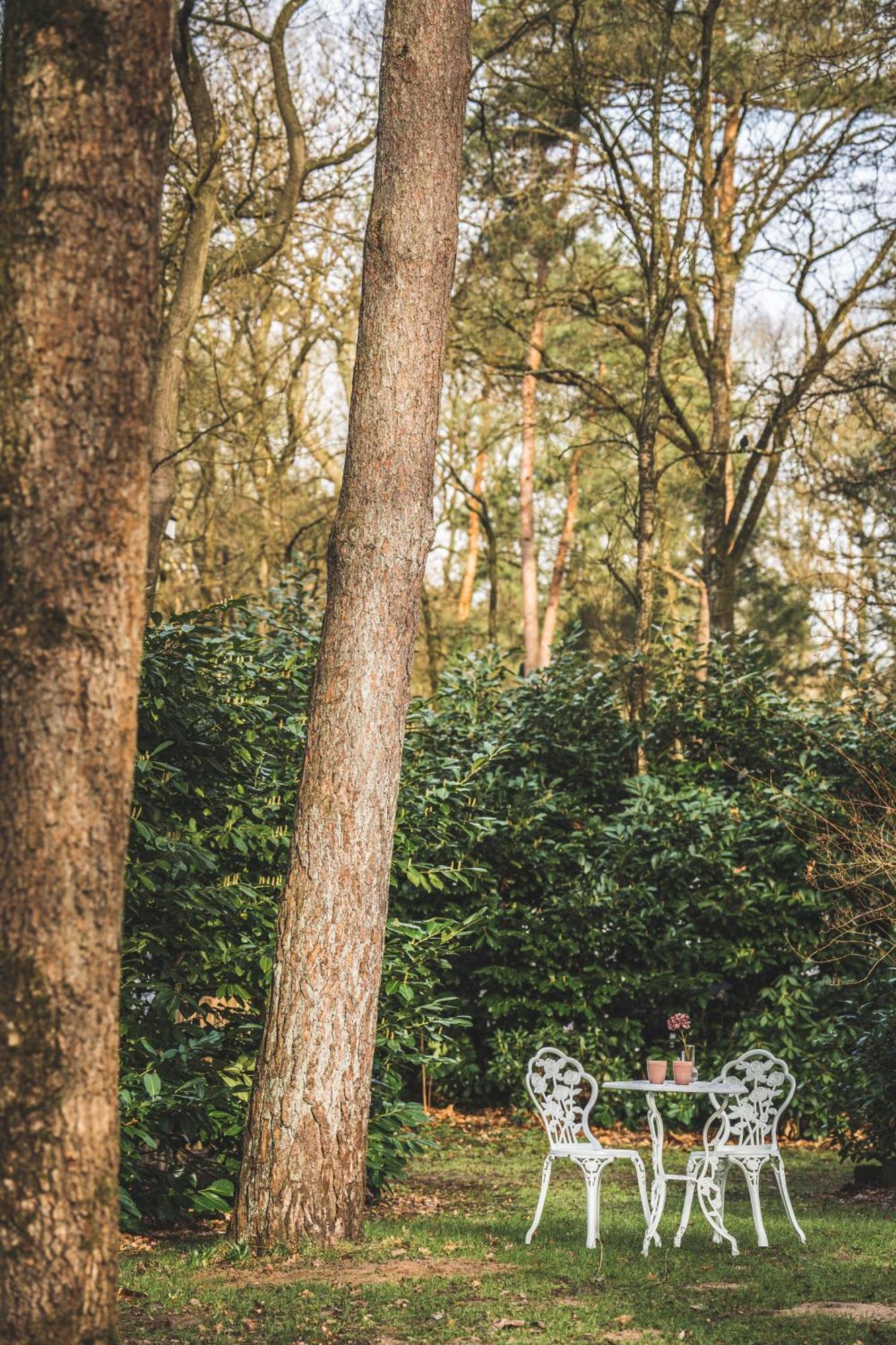 Boshuisje Op De Veluwe นึนชเปท ภายนอก รูปภาพ